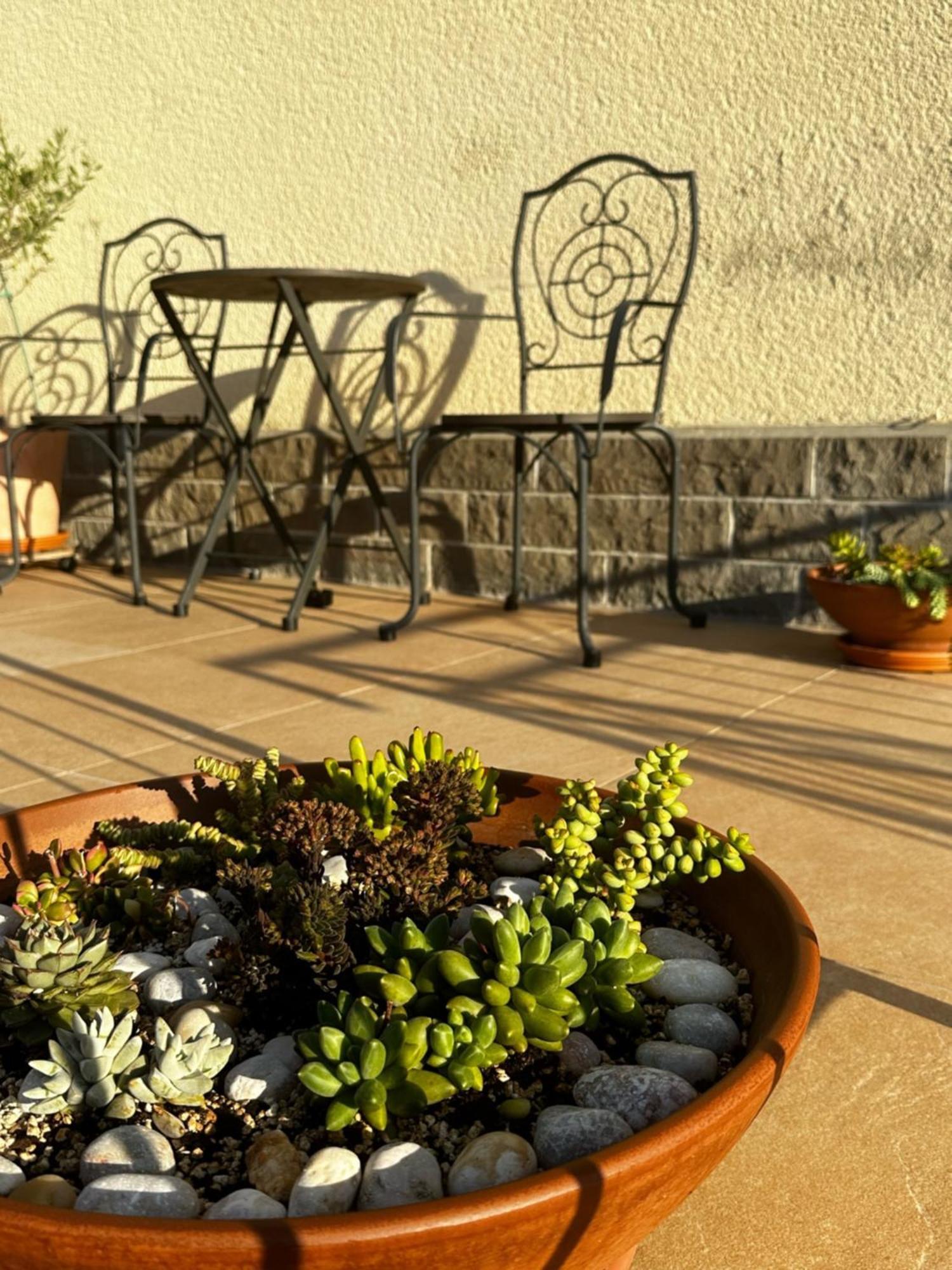 Apartment Cvetka ปอร์โตรอซ ภายนอก รูปภาพ